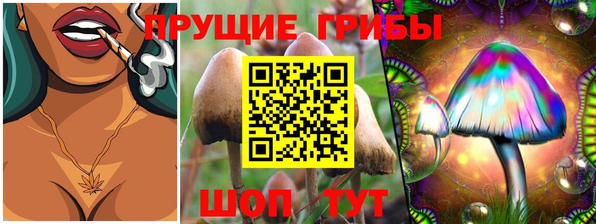 цены   Вход с VPN  Курчалой  Галлюциногенные грибы MAGIC MUSHROOMS 